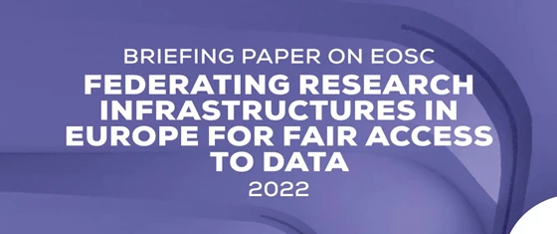 Read more about the article Briefing Paper on EOSC: Federating Research Infrastructures in Europe for Fair Access to Data