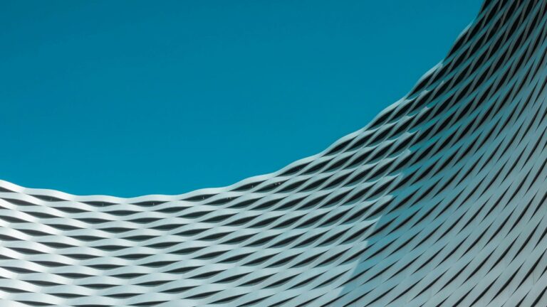 UN Scientific Advisory Board adopts landmark statement on Open Science